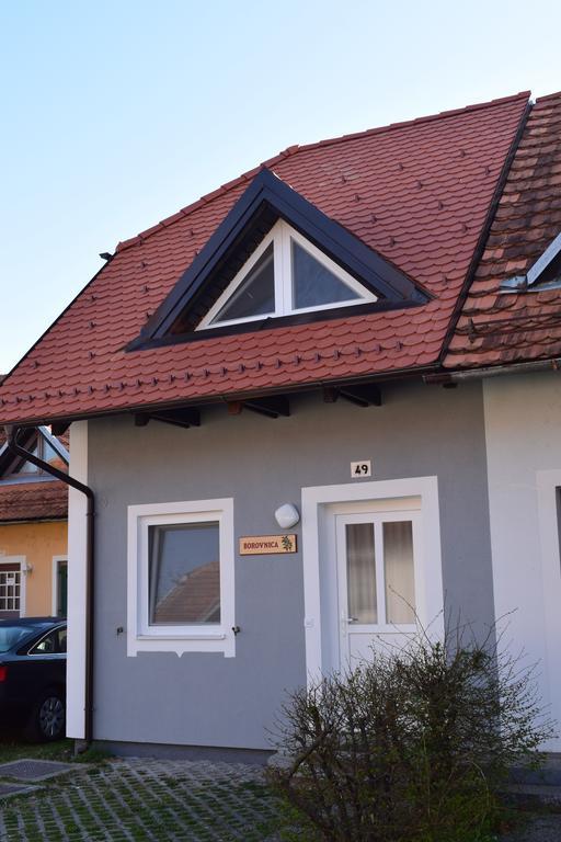 Borovnica Catez Apartment Чатеж об Сави Екстериор снимка