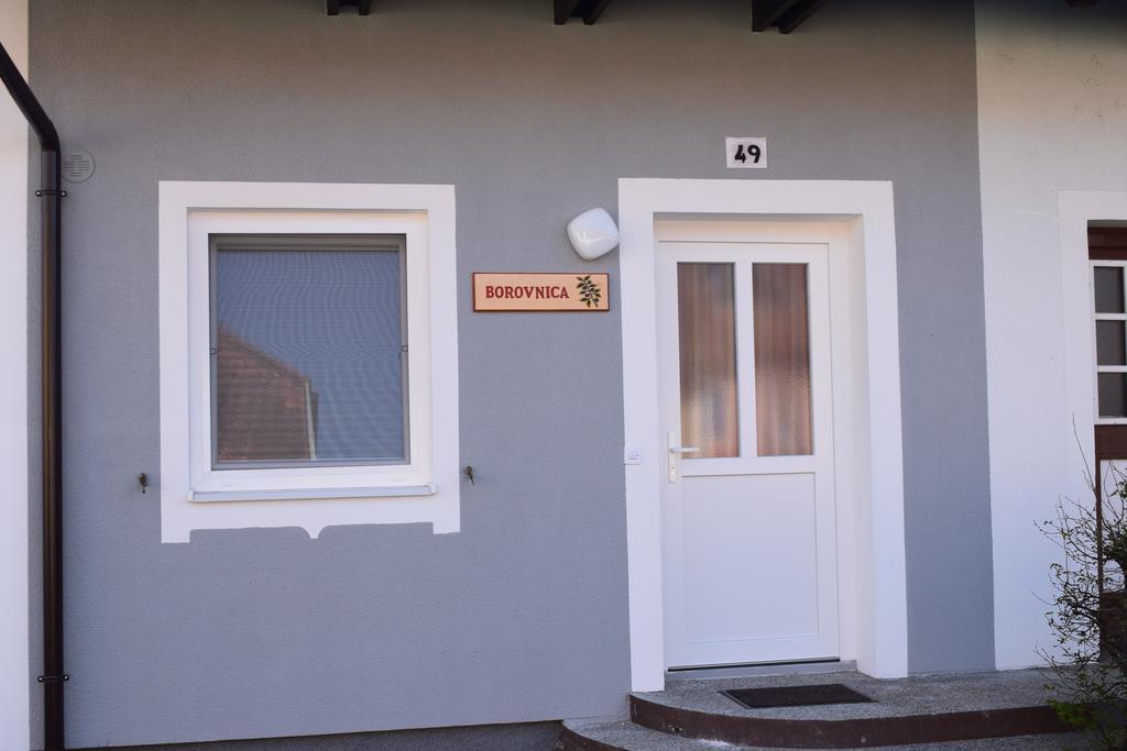 Borovnica Catez Apartment Чатеж об Сави Екстериор снимка